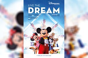 Disneyland Paris replaced hard copy brochure with digital version
