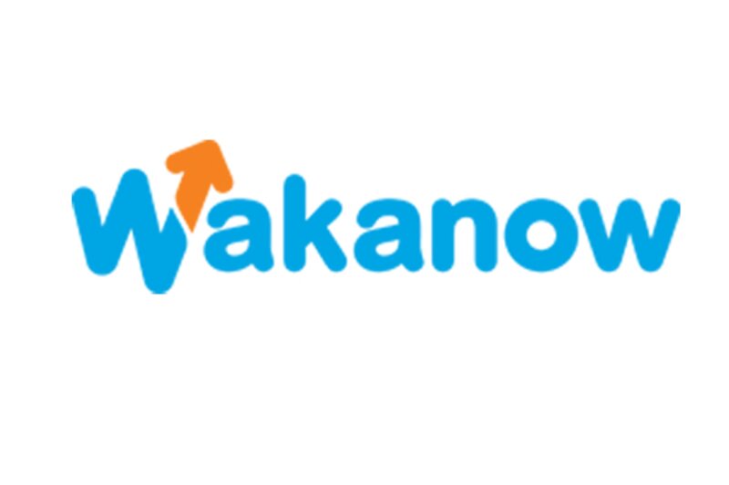 African specialist OTA Wakanow to make UK its sixth market