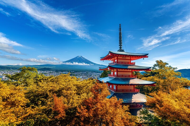 Tokyo launches medical information portal