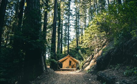 Glamping demand has ‘broken through the canvas ceiling’