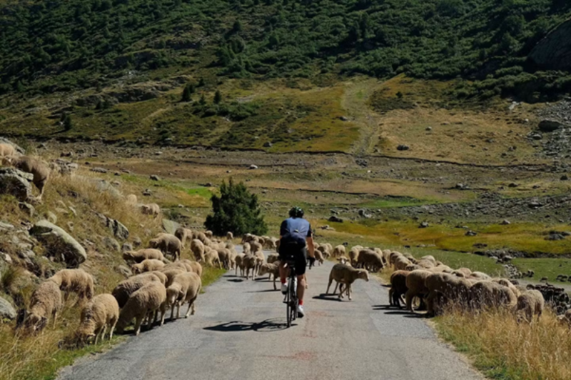 ‘Peak Creeping’ and Athleisure tourism make Byway’s trends list