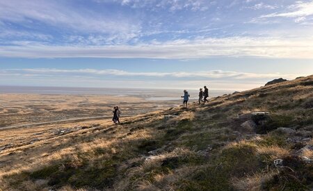 Official Falkland Islands app shines a light on archipelago
